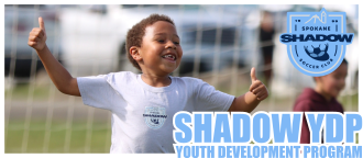 Programs-ShadowYDP-2025